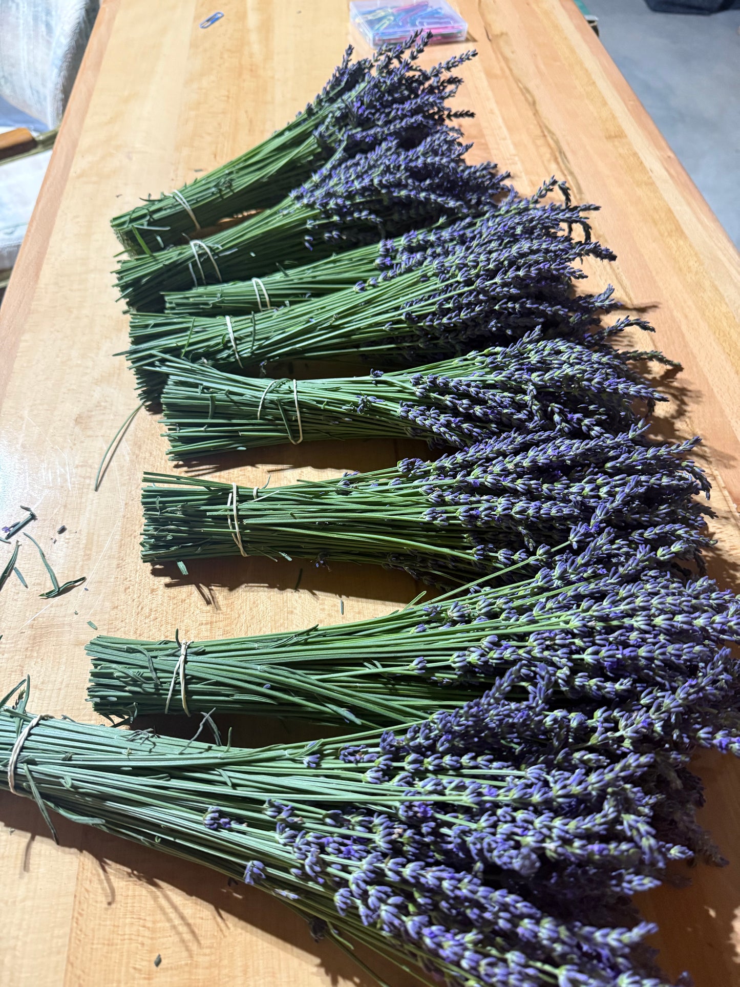 Dried Lavender Bundle